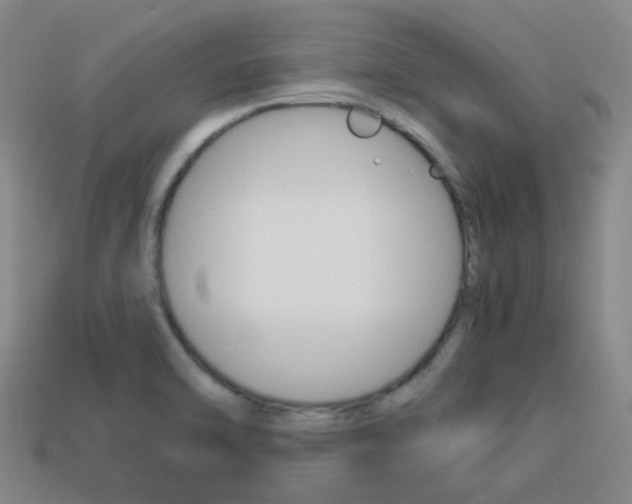 X0000114091470200910051159