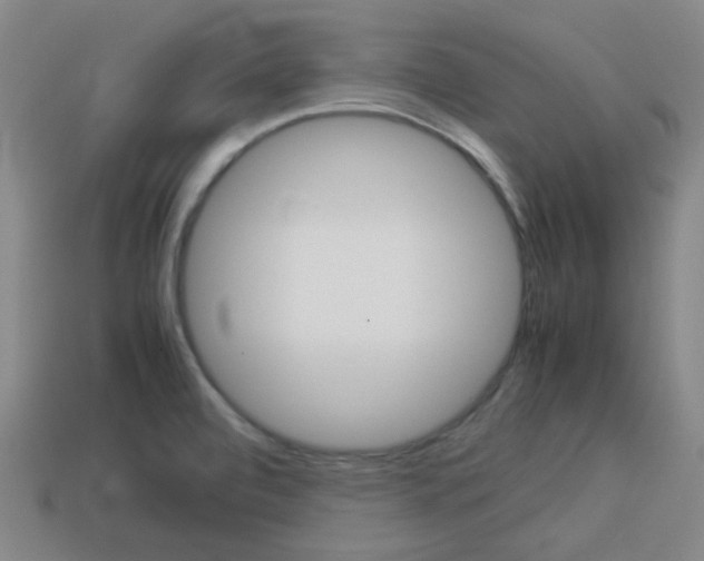X0000114091472200910051159