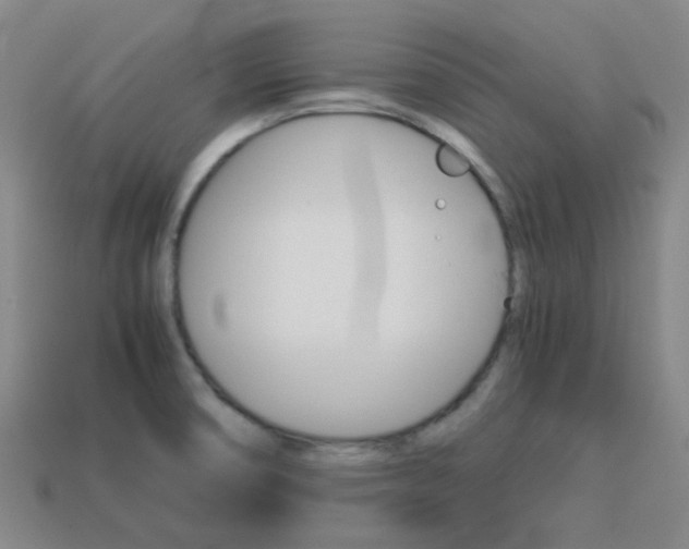 X0000114091474200910051159