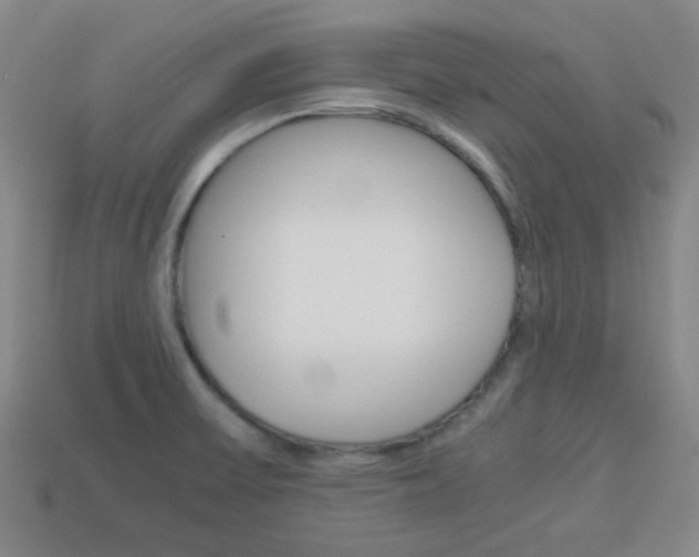 X0000114091475200910051159