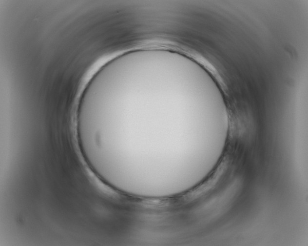 X0000114091478200910051159