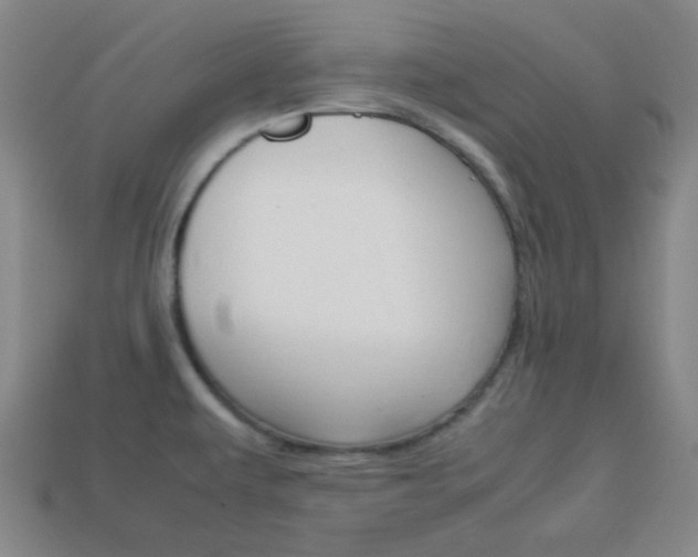 X0000114091479200910051159
