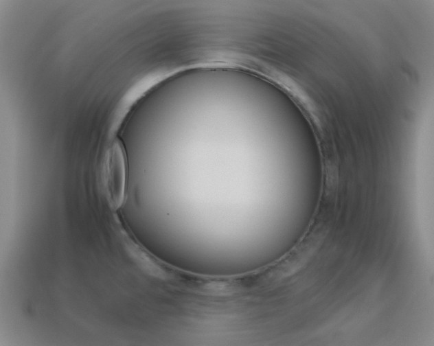 X0000114091480200910051159