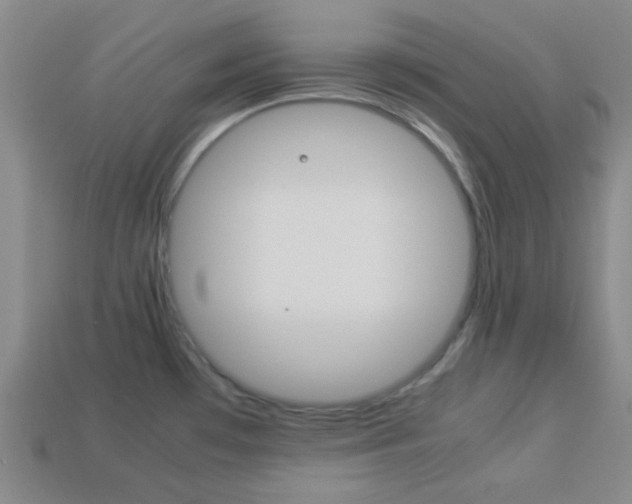 X0000114091481200910051159