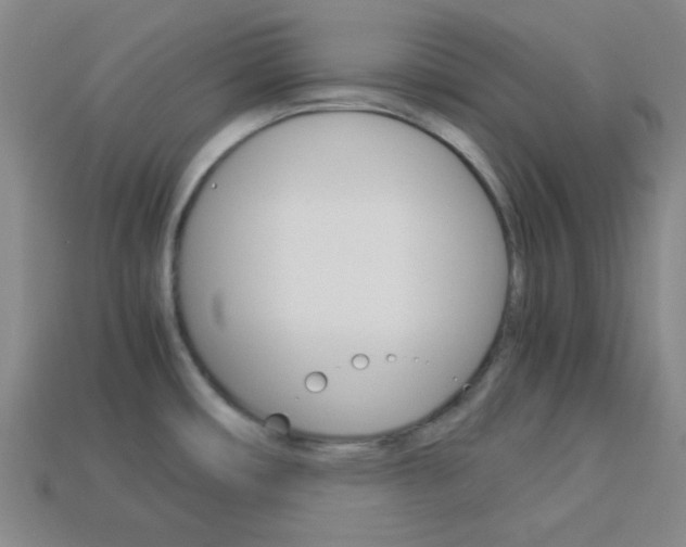 X0000114091482200910051159
