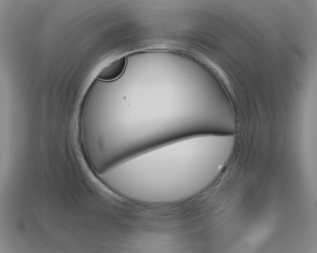 X0000114091483200910051159