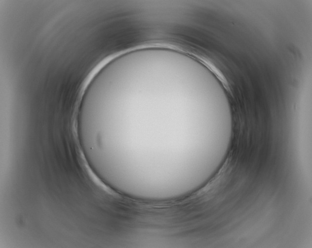 X0000114091484200910051159