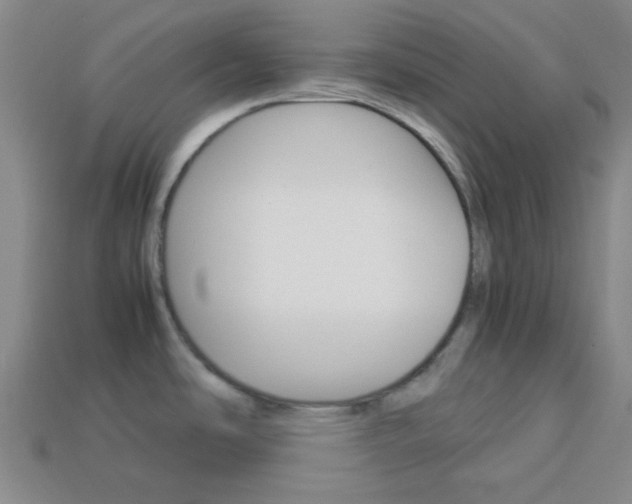 X0000114091486200910051159
