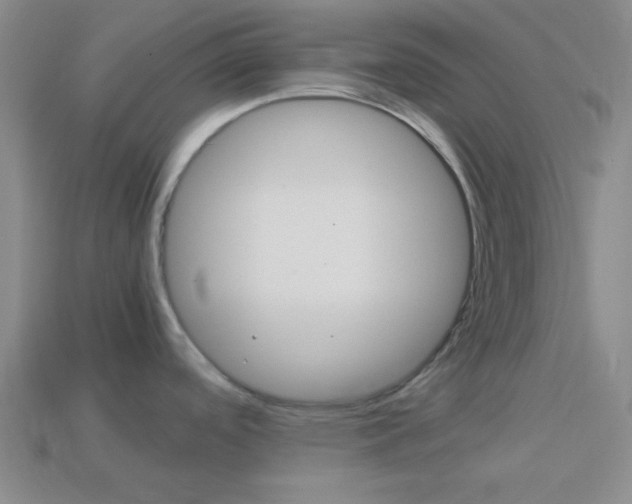 X0000114091488200910051159