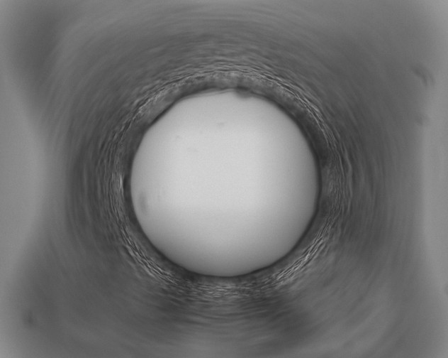 X0000114091489200910051158