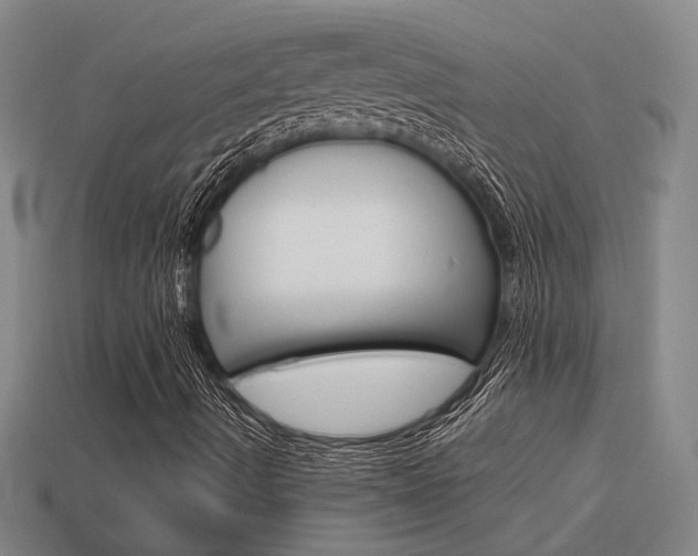 X0000114091490200910051158