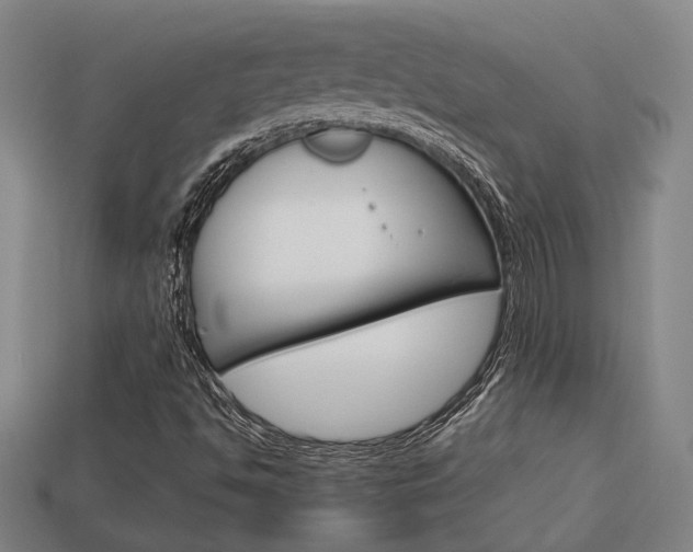 X0000114091494200910051158