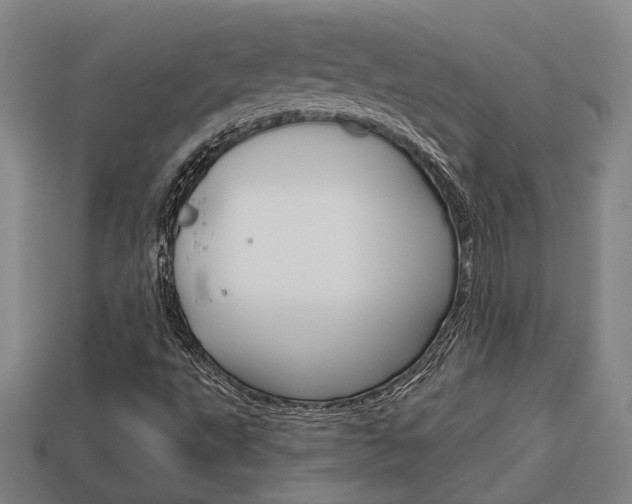 X0000114091495200910051158