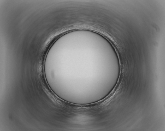 X0000114091499200910051159