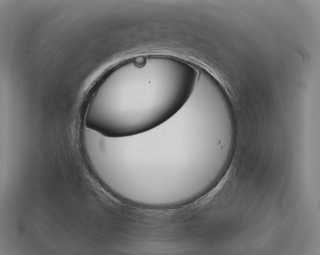 X0000114091502200910051159