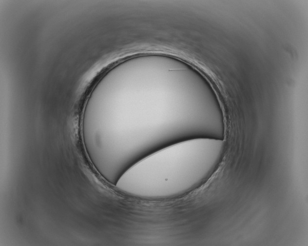 X0000114091503200910051159