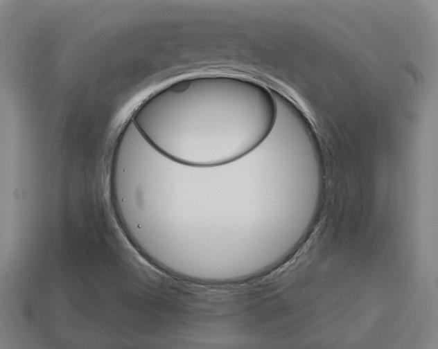 X0000114091504200910051159