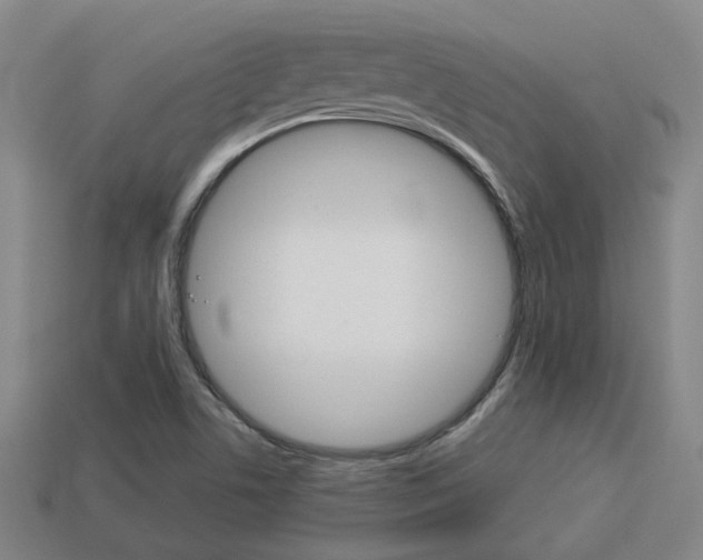 X0000114091506200910051159
