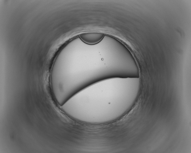 X0000114091507200910051159