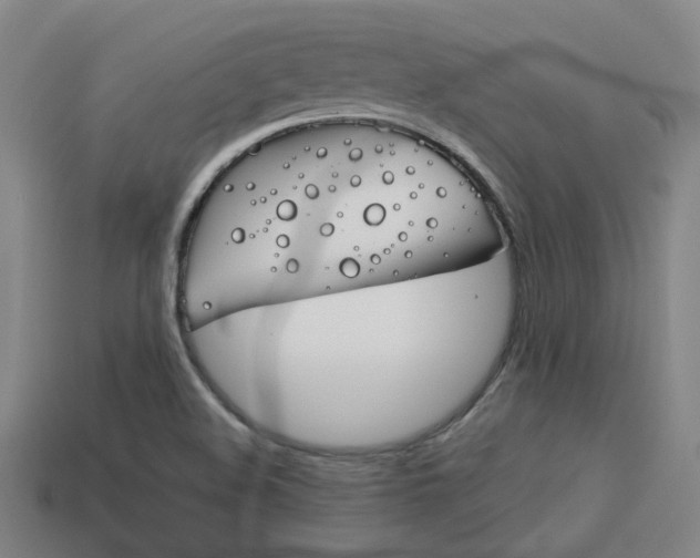X0000114091508200910051159