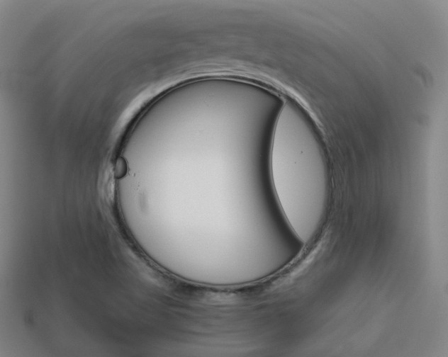X0000114091509200910051159