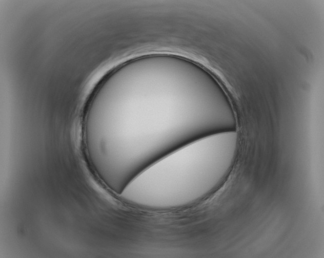 X0000114091511200910051159