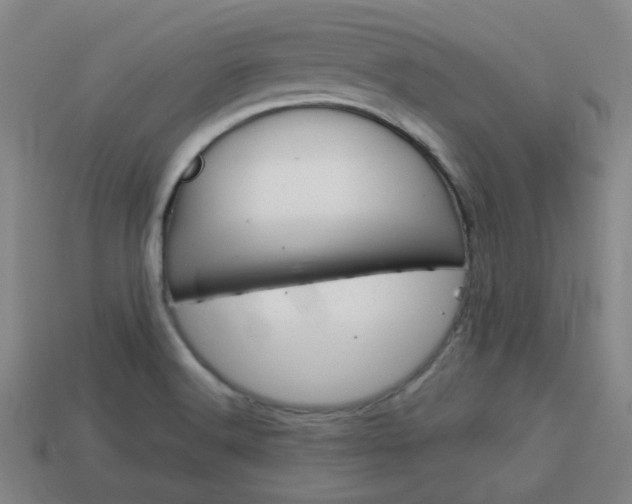 X0000114091516200910051159