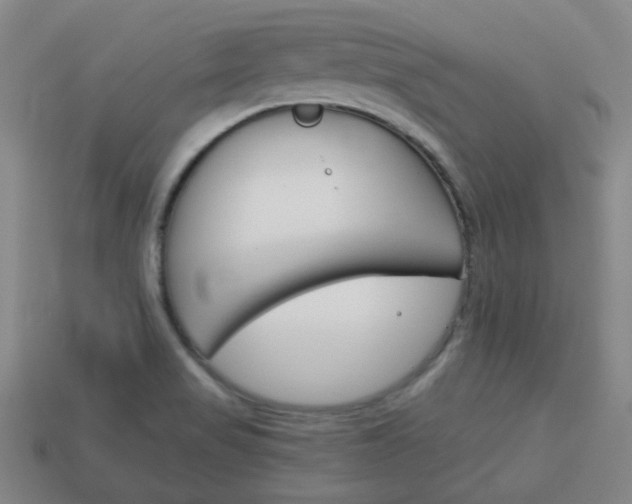 X0000114091517200910051159