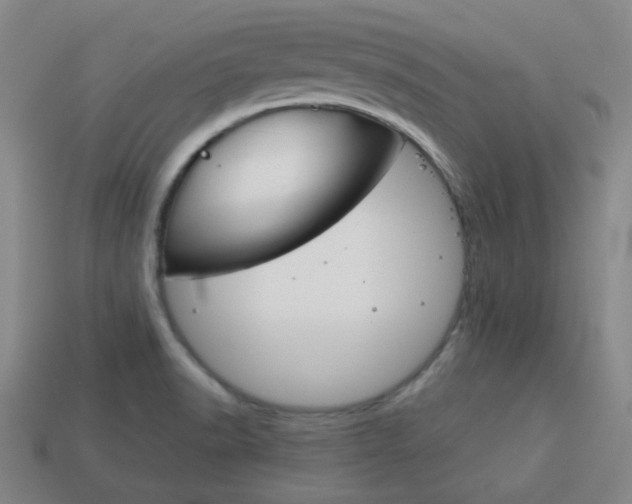 X0000114091518200910051159