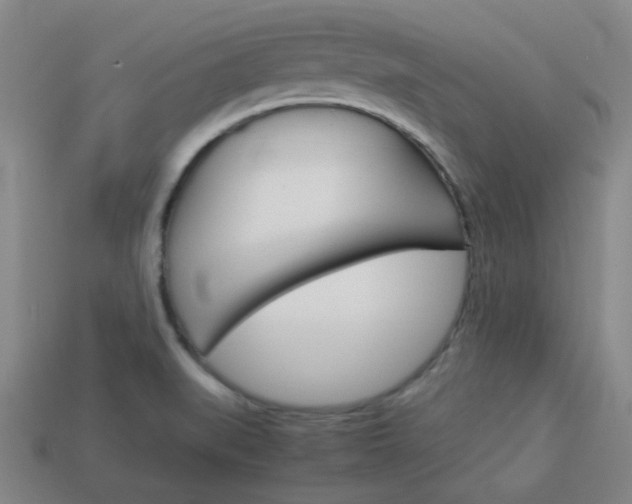 X0000114091519200910051159