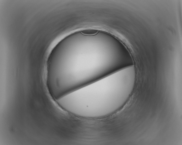 X0000114091520200910051159