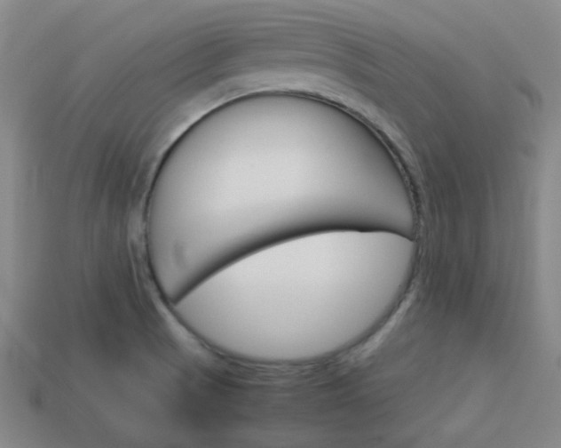 X0000114091521200910051159