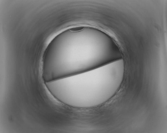 X0000114091524200910051159