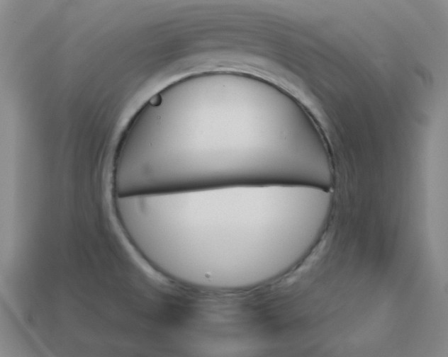 X0000114091525200910051159