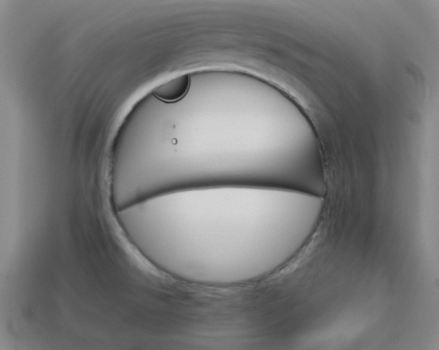 X0000114091526200910051159