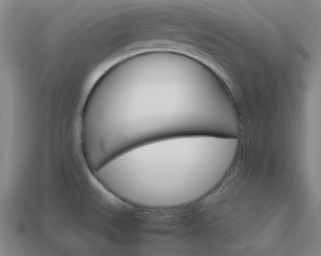 X0000114091527200910051159