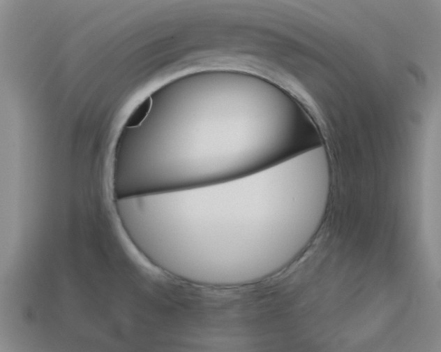 X0000114091528200910051159