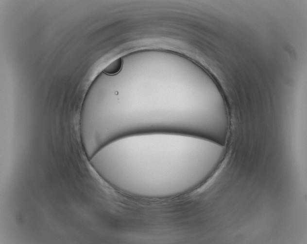 X0000114091529200910051159