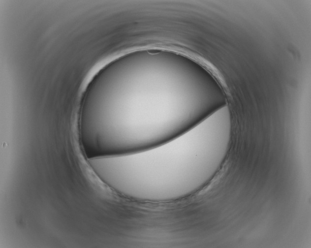X0000114091530200910051159