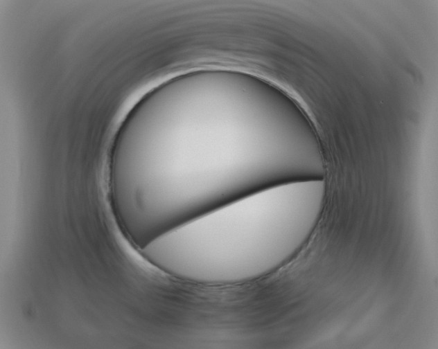 X0000114091531200910051159
