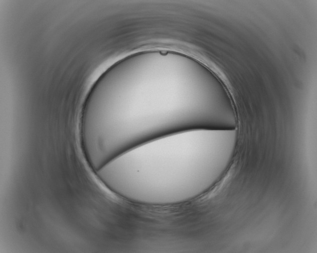 X0000114091533200910051159