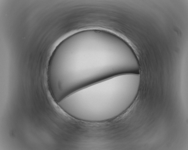 X0000114091534200910051159