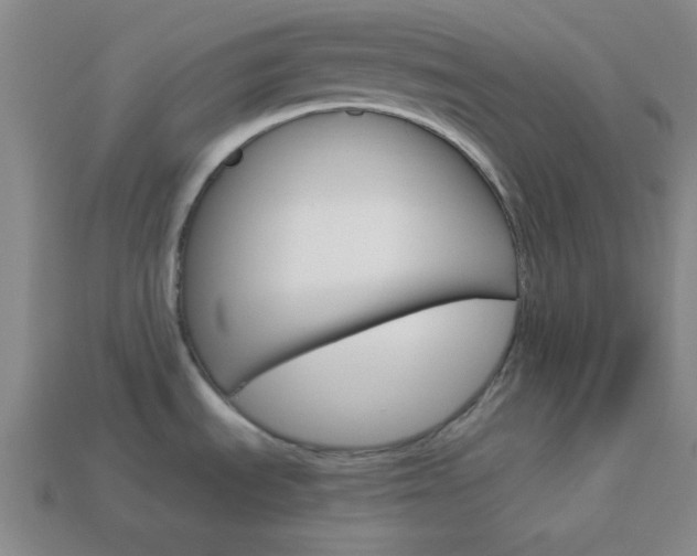 X0000114091535200910051159