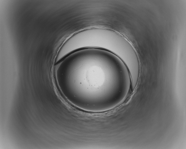 X0000114090001200910051434