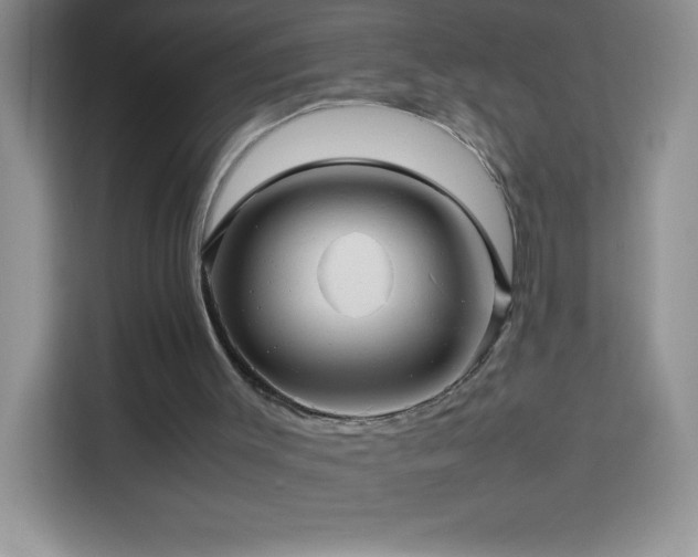 X0000114090003200910051434