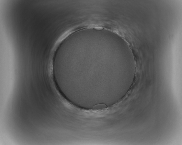 X0000114090005200910051434