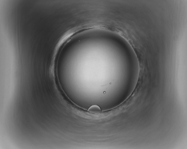 X0000114090006200910051434