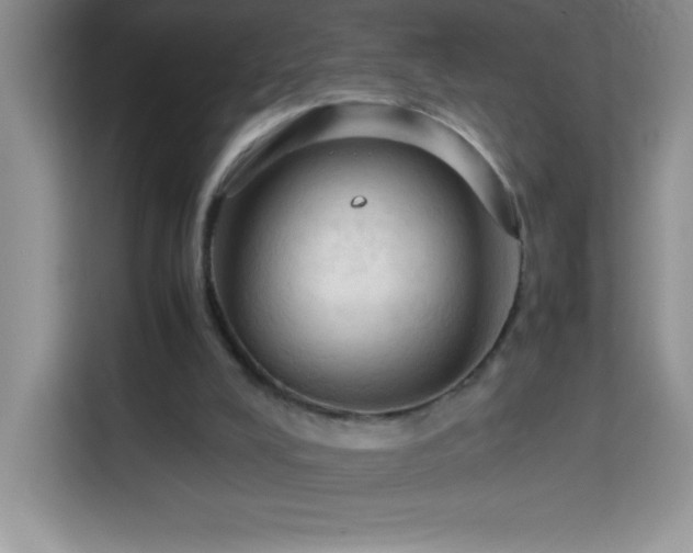 X0000114090008200910051434
