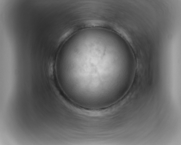 X0000114090010200910051434