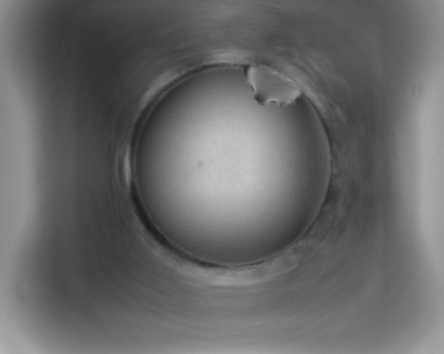 X0000114090011200910051434